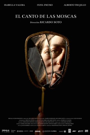 Постер фильма «El canto de las moscas»