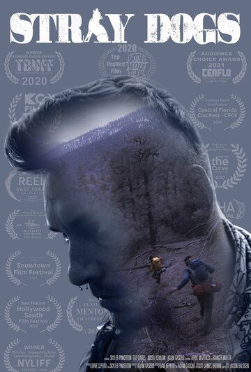 Постер фильма «Stray Dogs»