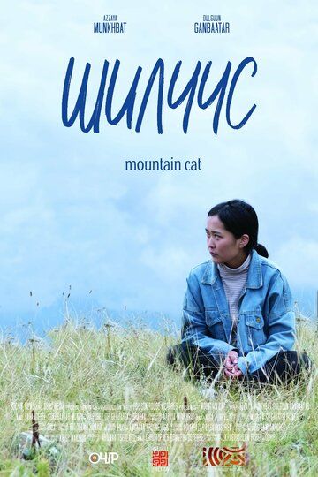Постер фильма «Mountain Cat»