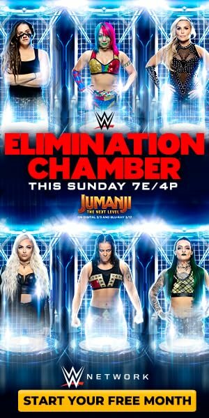 Постер фильма «WWE Камера ликвидации»