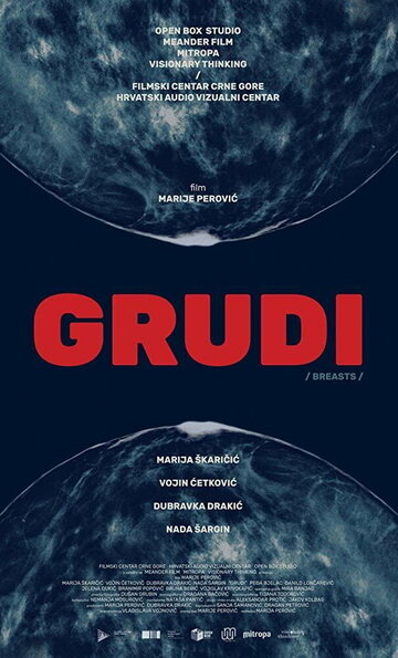 Постер фильма «Груди»
