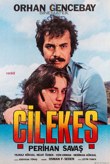 Постер фильма «Çilekes»