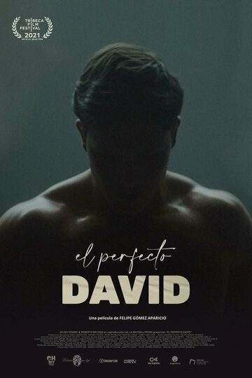 Постер фильма «El perfecto David»