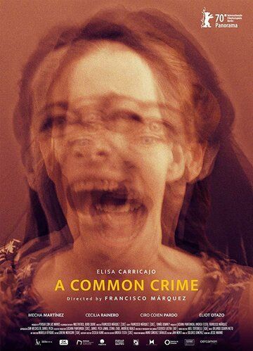 Постер фильма «Un crimen común»