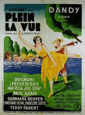 Постер фильма «Plein la vue»