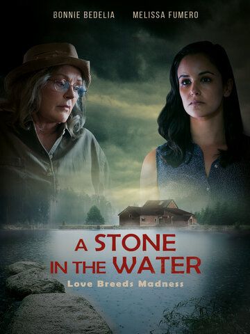 Постер фильма «A Stone in the Water»
