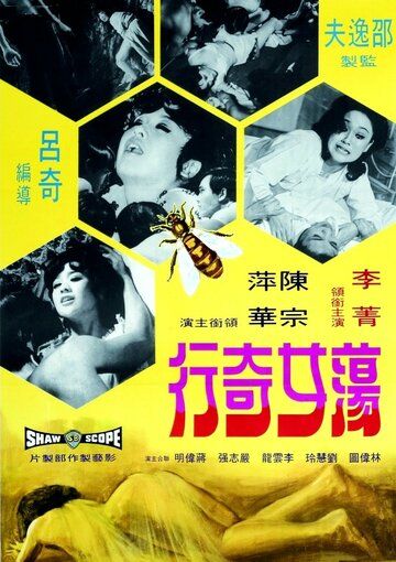 Постер фильма «Dang nu ji hang»