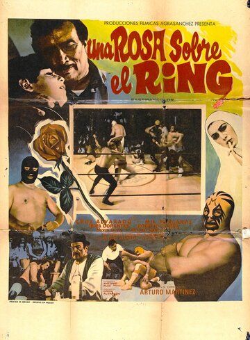 Постер фильма «Una rosa sobre el ring»