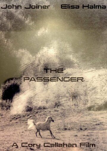 Постер фильма «The Passenger»