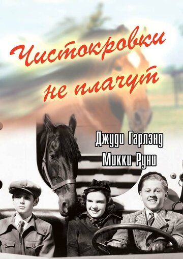 Постер фильма «Чистокровки не плачут»