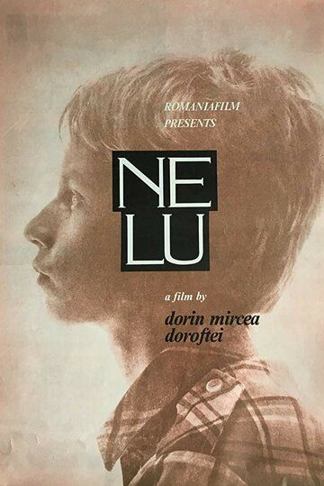 Постер фильма «Нелу»