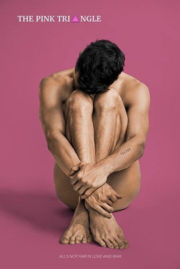Постер фильма «The Pink Triangle»