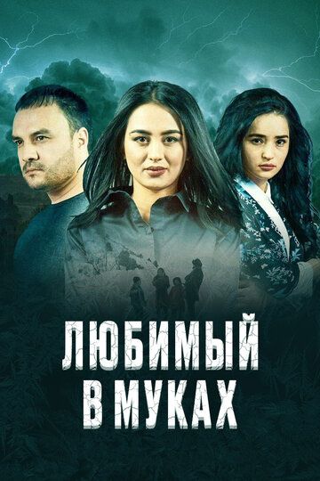Постер фильма «Любимый в муках»
