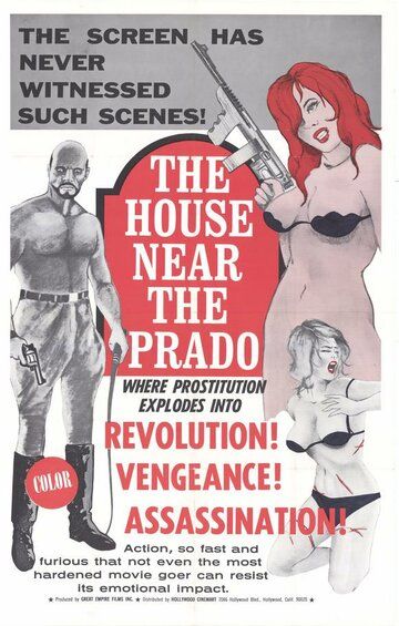 Постер фильма «The House Near the Prado»
