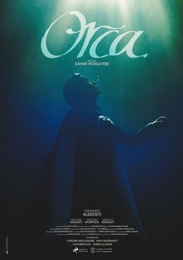 Постер фильма «Косатка»