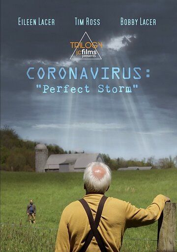 Постер фильма «Coronavirus: Perfect Storm»