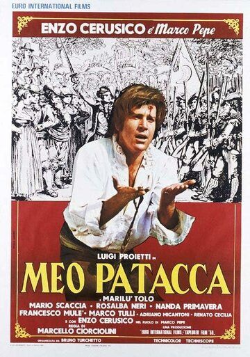 Постер фильма «Мео Патакка»