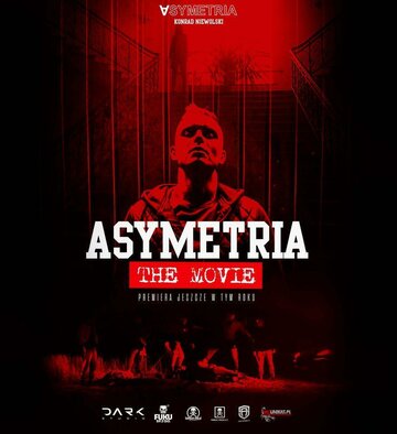 Постер фильма «Асимметрия»