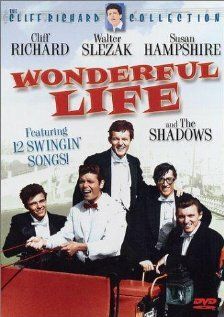 Постер фильма «Wonderful Life»