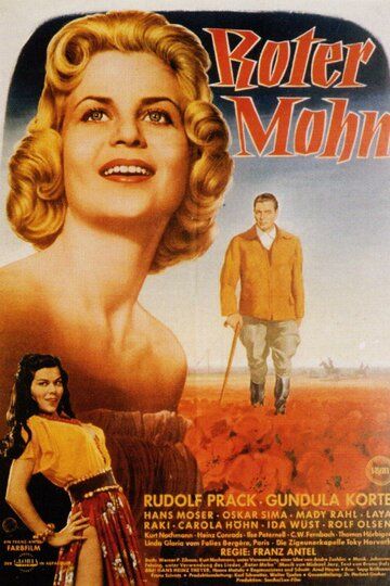 Постер фильма «Roter Mohn»
