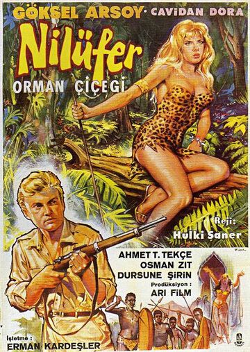 Постер фильма «Nilüfer orman çiçegi»
