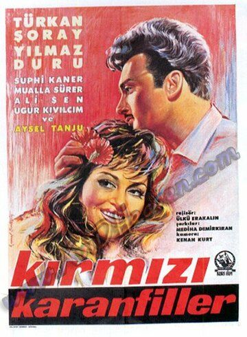 Постер фильма «Kirmizi karanfiller»