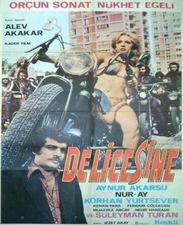 Постер фильма «Delicesine»
