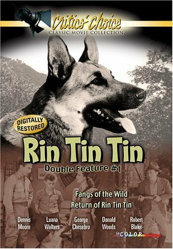 Постер фильма «The Return of Rin Tin Tin»