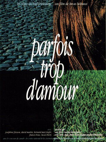Постер фильма «Parfois trop d'amour»