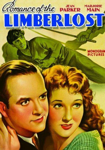 Постер фильма «Romance of the Limberlost»
