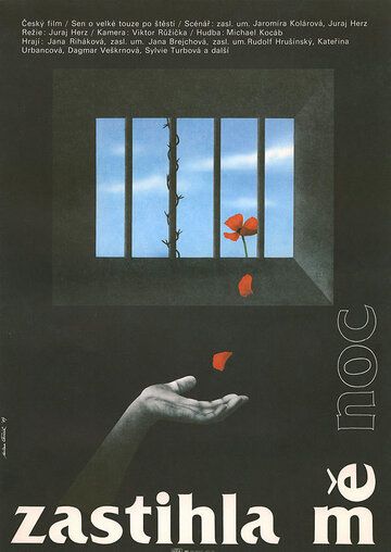 Постер фильма «Застигла меня ночь»