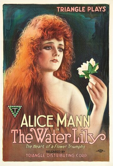 Постер фильма «The Water Lily»