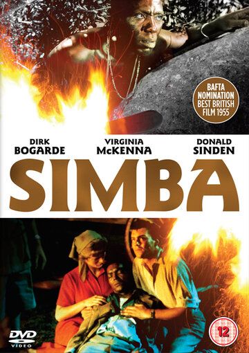 Постер фильма «Симба»