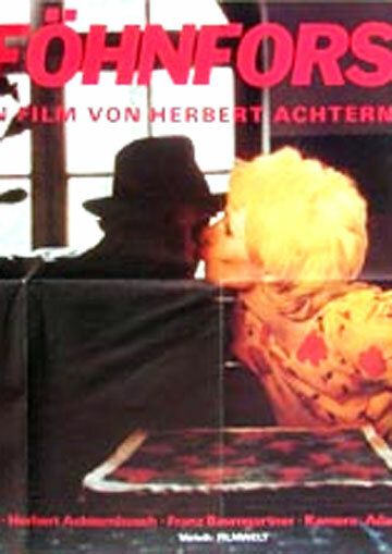 Постер фильма «Die Föhnforscher»