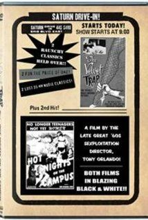 Постер фильма «Hot Nights on the Campus»
