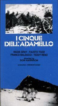 Постер фильма «I cinque dell'Adamello»