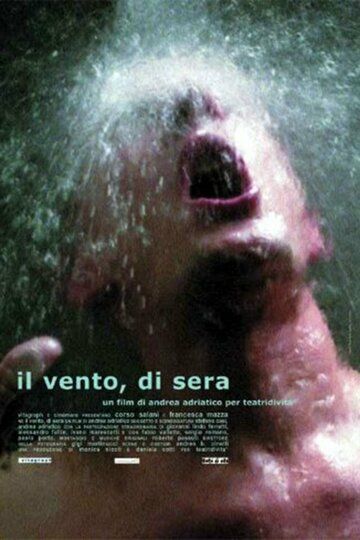 Постер фильма «Il vento, di sera»