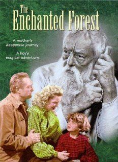 Постер фильма «The Enchanted Forest»