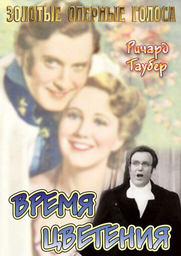 Постер фильма «Время цветения»
