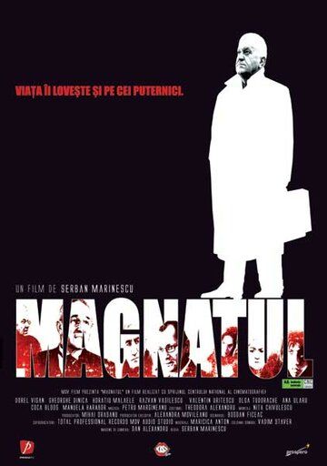 Постер фильма «Magnatul»