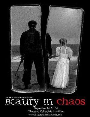 Постер фильма «Beauty in Chaos»