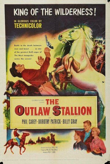 Постер фильма «The Outlaw Stallion»