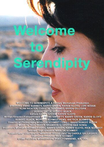 Постер фильма «Welcome to Serendipity»