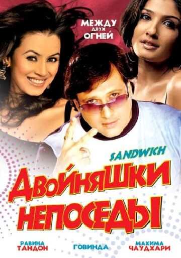 Постер фильма «Двойняшки непоседы»