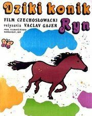 Постер фильма «Divoký koník Ryn»