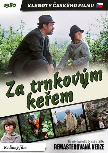 Постер фильма «За кустами терновника»