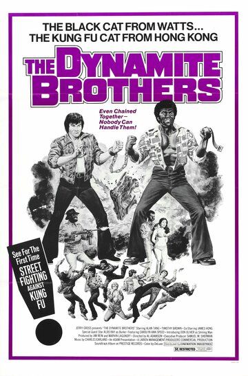 Постер фильма «Dynamite Brothers»