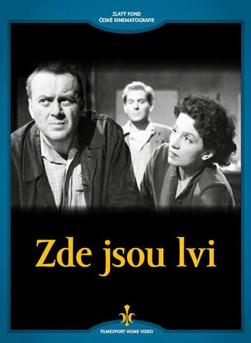 Постер фильма «А вот и львы»