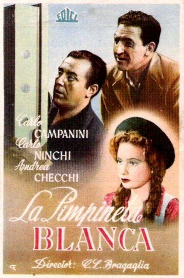 Постер фильма «La primula bianca»