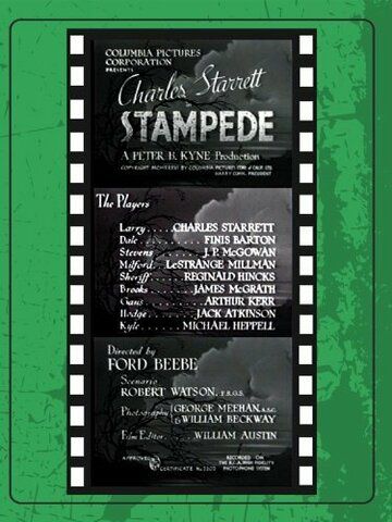 Постер фильма «Stampede»